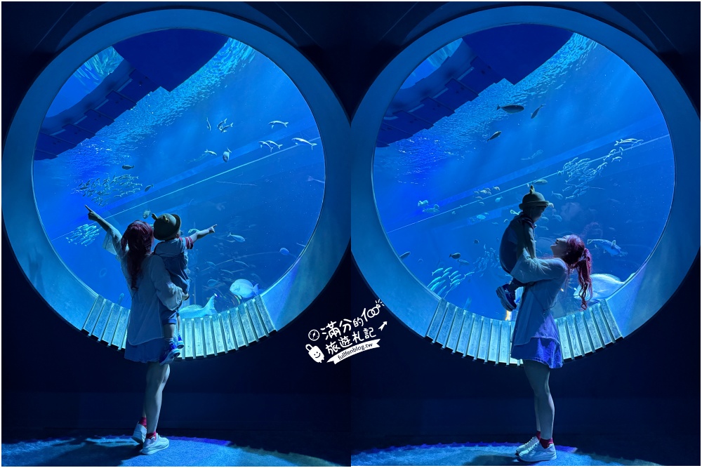 【2025沖繩DMM Kariyushi水族館】最新門票&玩樂攻略,餵企鵝.餵樹懶.摸鯊魚,拍海蝕洞,逛iias 沖繩豐崎,沖繩全室內親子水族館帶你玩!