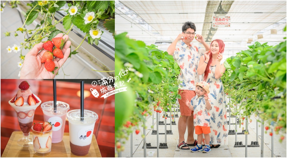 沖繩草莓園推薦【美麗草莓南城溫室】40分鐘沖繩草莓放題吃到飽,還能搭煉乳巧克力一起吃超特別! @滿分的旅遊札記