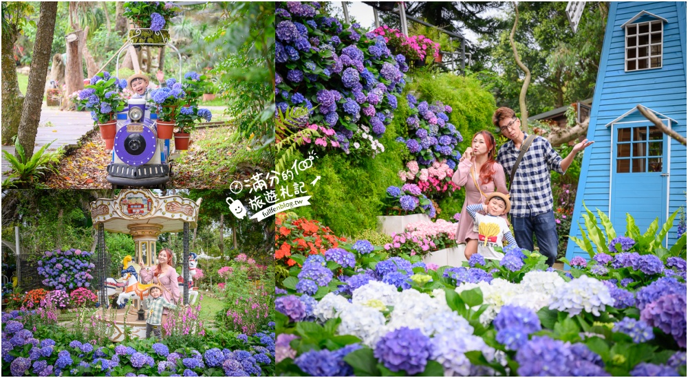 【2026花露農場】最新繡球花火車,苗栗最美雨林部落.繡球花園.波波草海.精油城堡,貓頭鷹樹屋童趣十足! @滿分的旅遊札記
