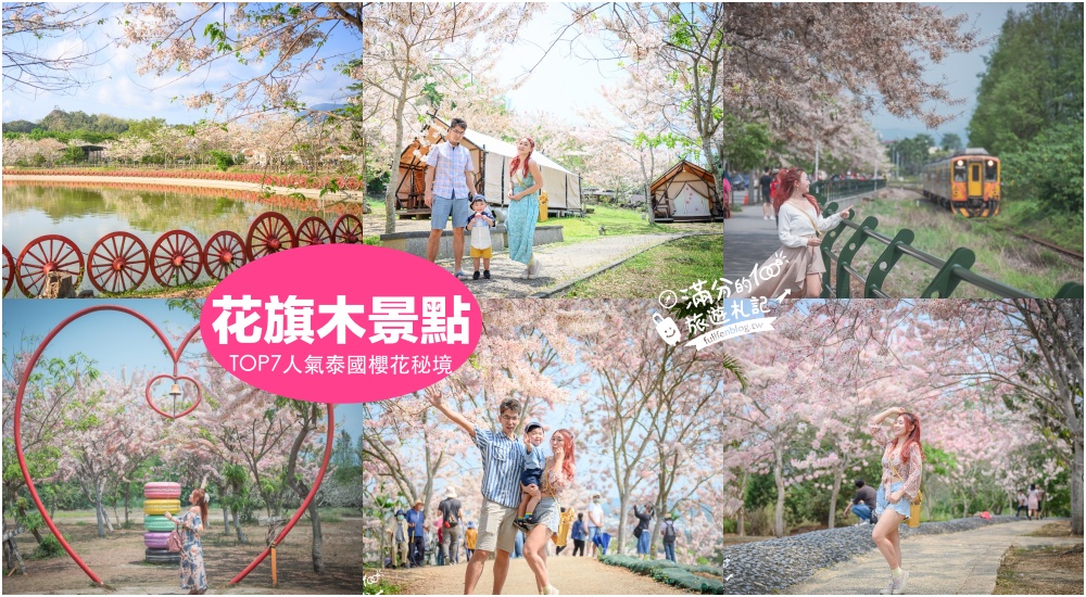 【2025全台花旗木景點推薦】TOP7人氣花旗木賞花秘境,最浪漫的四月泰國櫻花! @滿分的旅遊札記