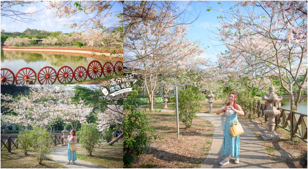 高雄【神威天臺山道場】六龜花旗木湖景秘境.金碧輝煌神殿隱藏夢幻泰國櫻花林! @滿分的旅遊札記