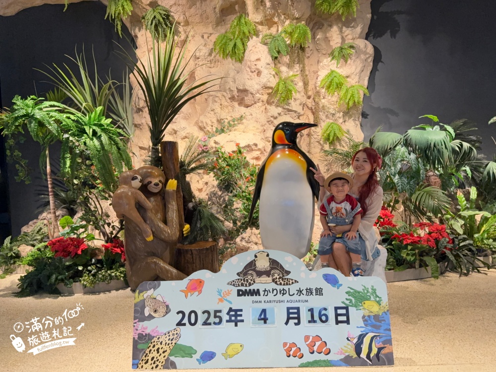 【2025沖繩DMM Kariyushi水族館】最新門票&玩樂攻略,餵企鵝.餵樹懶.摸鯊魚,拍海蝕洞,逛iias 沖繩豐崎,沖繩全室內親子水族館帶你玩!