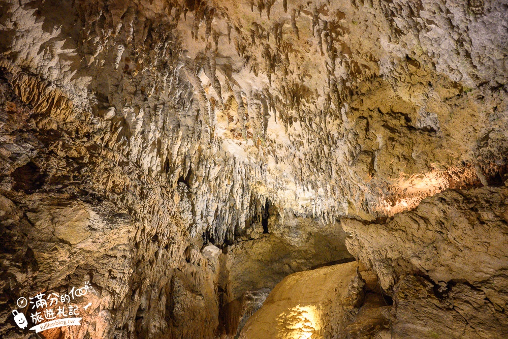沖繩【CAVE OKINAWA鐘乳洞】沖繩尋寶秘境~地下金色宮殿,探索夢幻鐘乳石洞,還能在森林咖啡館下午茶!