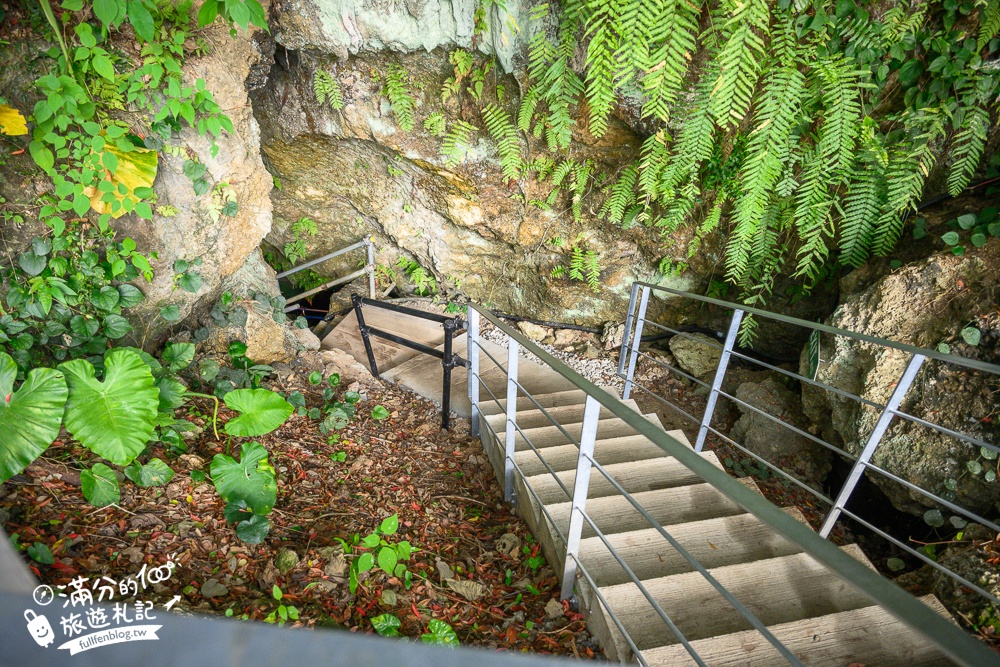 沖繩【CAVE OKINAWA鐘乳洞】沖繩尋寶秘境~地下金色宮殿,探索夢幻鐘乳石洞,還能在森林咖啡館下午茶!