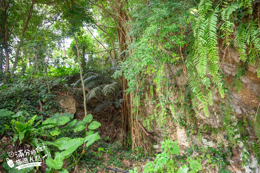 沖繩【CAVE OKINAWA鐘乳洞】沖繩尋寶秘境~地下金色宮殿,探索夢幻鐘乳石洞,還能在森林咖啡館下午茶!