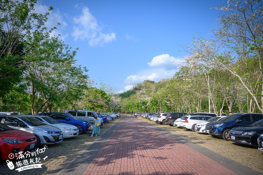 高雄【神威天臺山道場】六龜花旗木湖景秘境.金碧輝煌神殿隱藏夢幻泰國櫻花林!