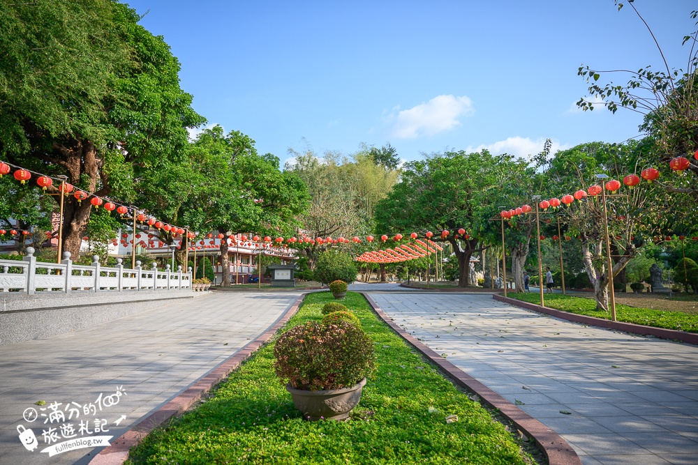 高雄【神威天臺山道場】六龜花旗木湖景秘境.金碧輝煌神殿隱藏夢幻泰國櫻花林!