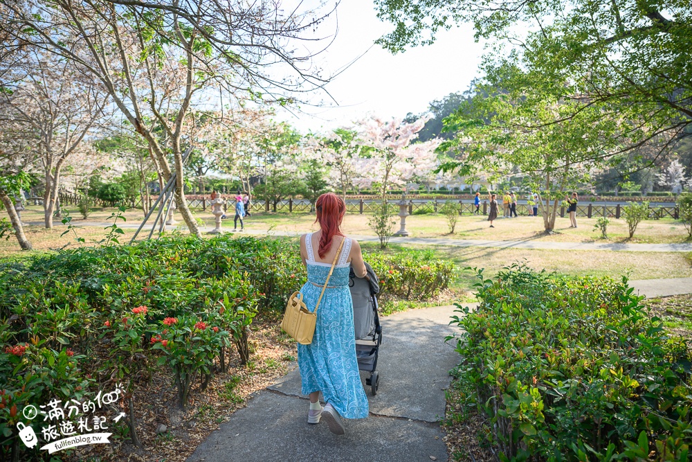 高雄【神威天臺山道場】六龜花旗木湖景秘境.金碧輝煌神殿隱藏夢幻泰國櫻花林!