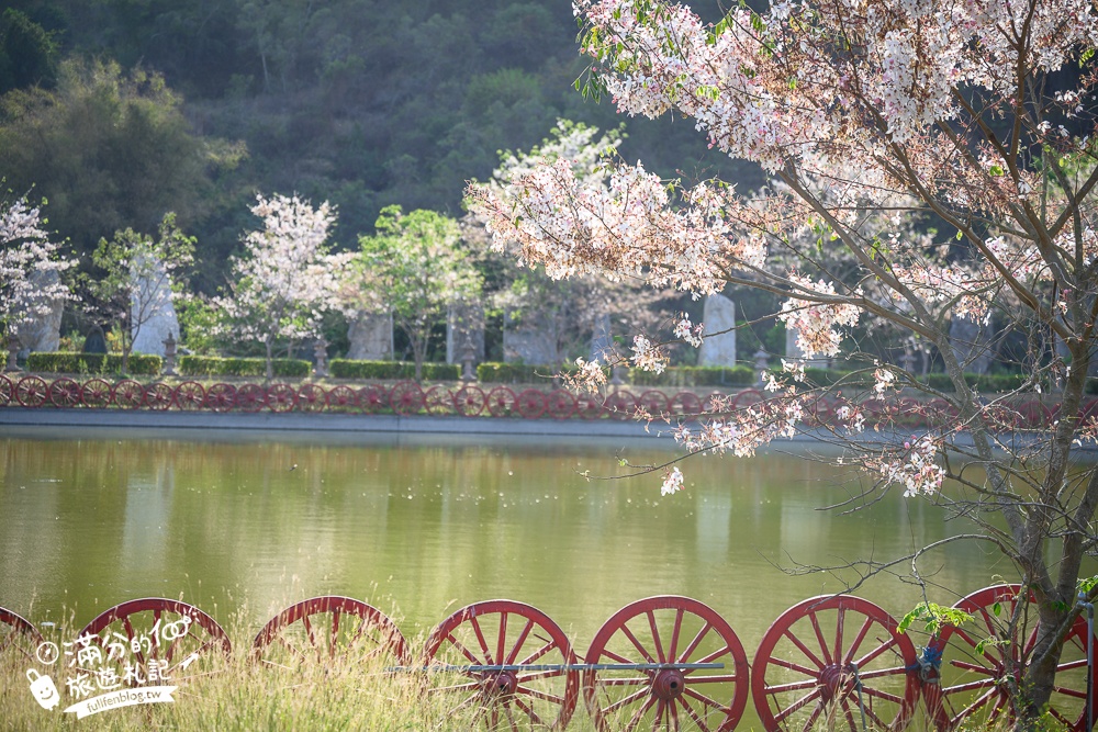 高雄【神威天臺山道場】六龜花旗木湖景秘境.金碧輝煌神殿隱藏夢幻泰國櫻花林!