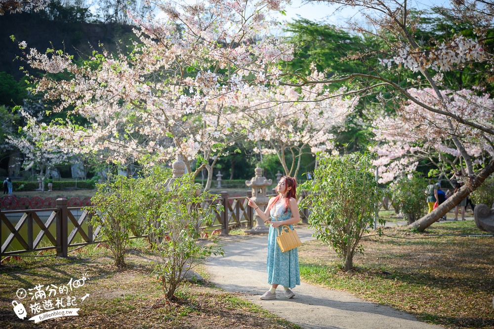 高雄【神威天臺山道場】六龜花旗木湖景秘境.金碧輝煌神殿隱藏夢幻泰國櫻花林!