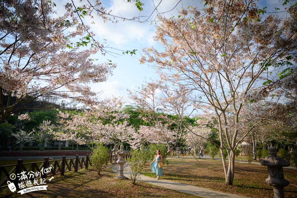 高雄【神威天臺山道場】六龜花旗木湖景秘境.金碧輝煌神殿隱藏夢幻泰國櫻花林!