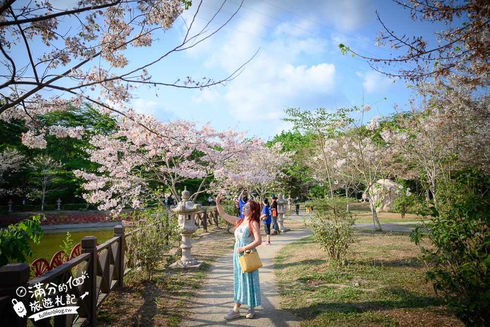 高雄【神威天臺山道場】六龜花旗木湖景秘境.金碧輝煌神殿隱藏夢幻泰國櫻花林!