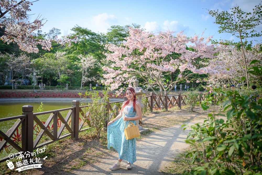 高雄【神威天臺山道場】六龜花旗木湖景秘境.金碧輝煌神殿隱藏夢幻泰國櫻花林!