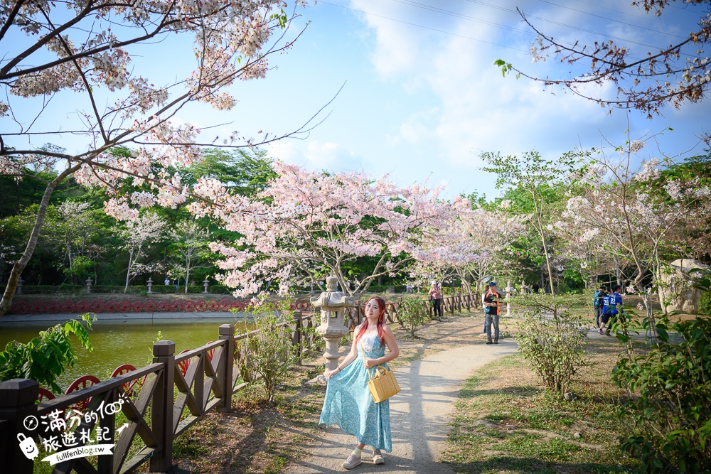 高雄【神威天臺山道場】六龜花旗木湖景秘境.金碧輝煌神殿隱藏夢幻泰國櫻花林!