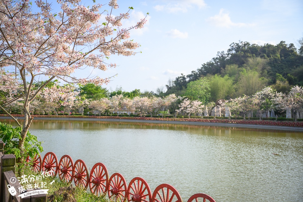 高雄【神威天臺山道場】六龜花旗木湖景秘境.金碧輝煌神殿隱藏夢幻泰國櫻花林!