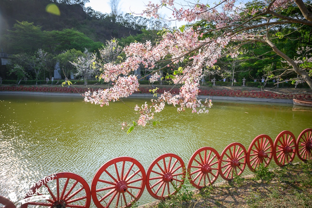 高雄【神威天臺山道場】六龜花旗木湖景秘境.金碧輝煌神殿隱藏夢幻泰國櫻花林!