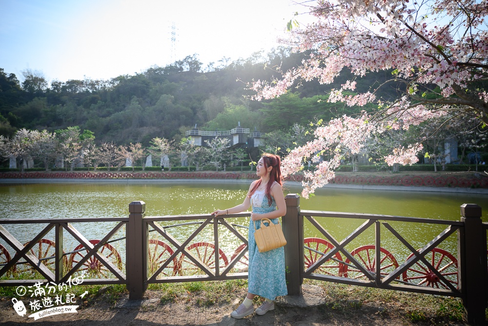 高雄【神威天臺山道場】六龜花旗木湖景秘境.金碧輝煌神殿隱藏夢幻泰國櫻花林!