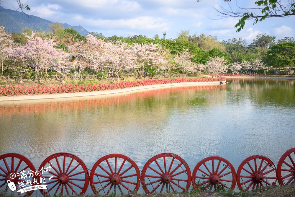 高雄【神威天臺山道場】六龜花旗木湖景秘境.金碧輝煌神殿隱藏夢幻泰國櫻花林!