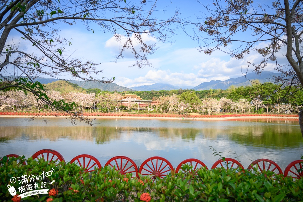 高雄【神威天臺山道場】六龜花旗木湖景秘境.金碧輝煌神殿隱藏夢幻泰國櫻花林!