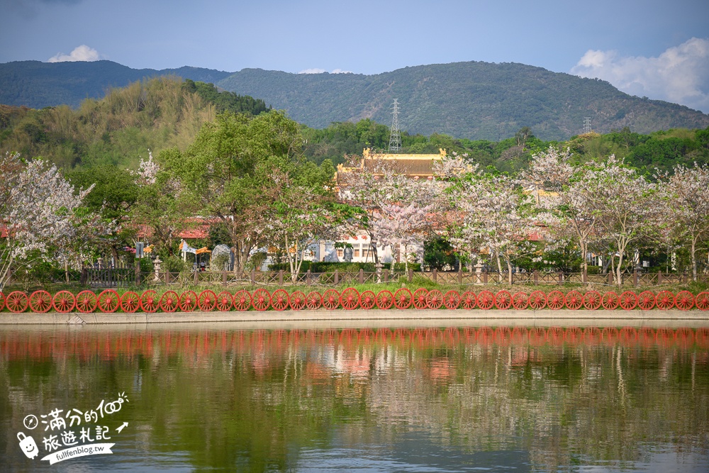 高雄【神威天臺山道場】六龜花旗木湖景秘境.金碧輝煌神殿隱藏夢幻泰國櫻花林!