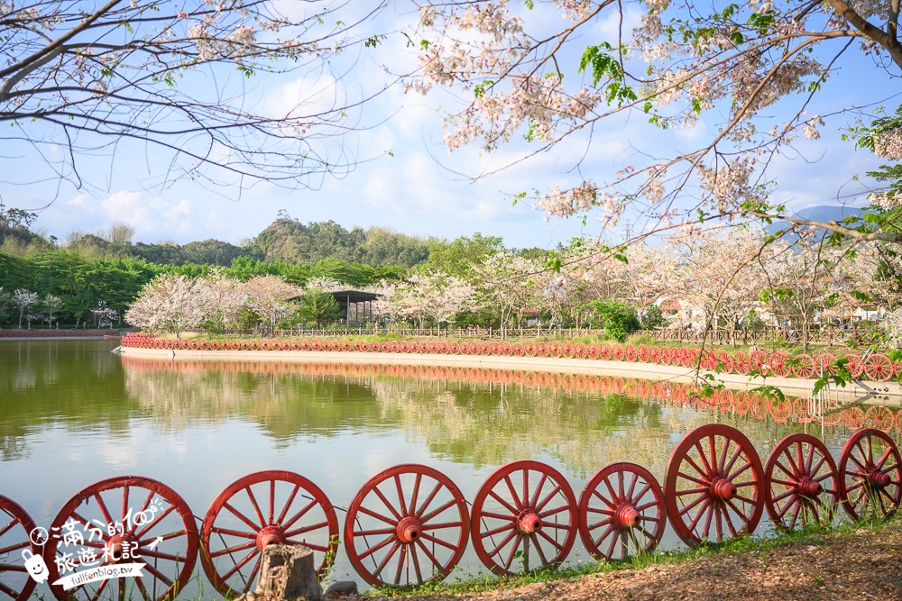 高雄【神威天臺山道場】六龜花旗木湖景秘境.金碧輝煌神殿隱藏夢幻泰國櫻花林!