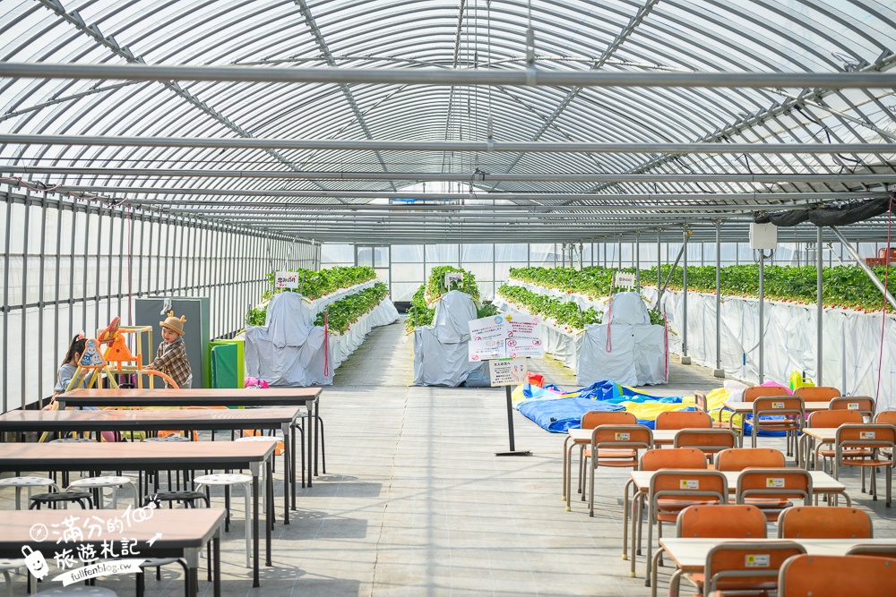 福岡草莓園【Fruitelier中村果樹園】久留米親子草莓園,50分鐘草莓吃到飽.能邊採邊吃,還有兒童遊戲區好溫馨!
