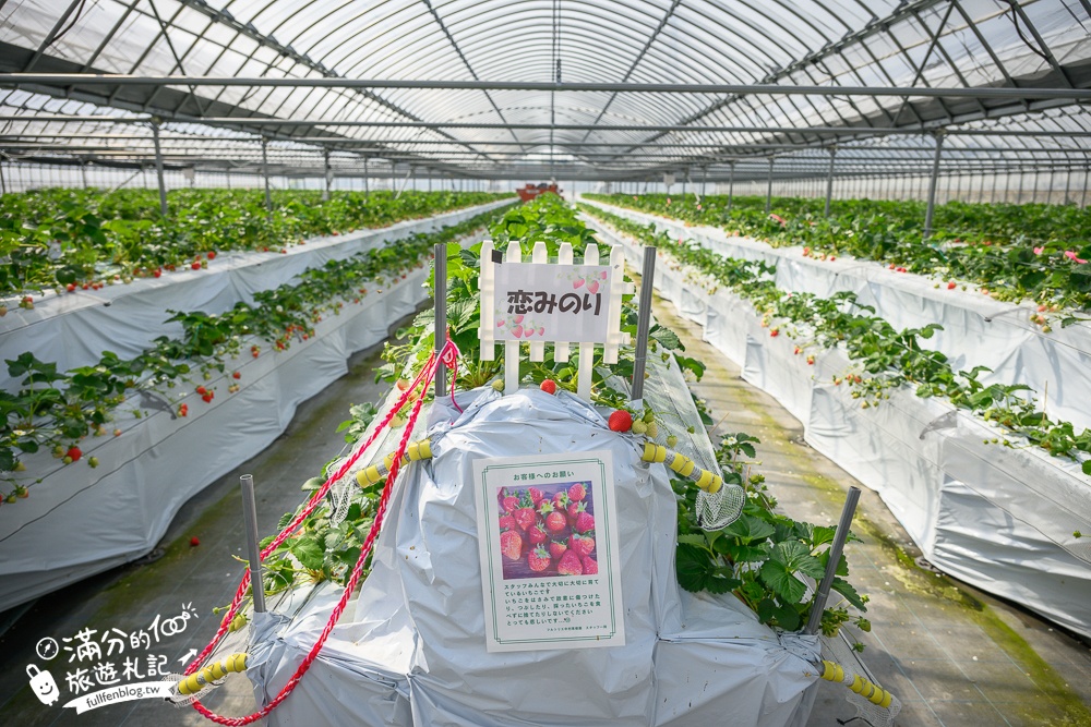福岡草莓園【Fruitelier中村果樹園】久留米親子草莓園,50分鐘草莓吃到飽.能邊採邊吃,還有兒童遊戲區好溫馨!