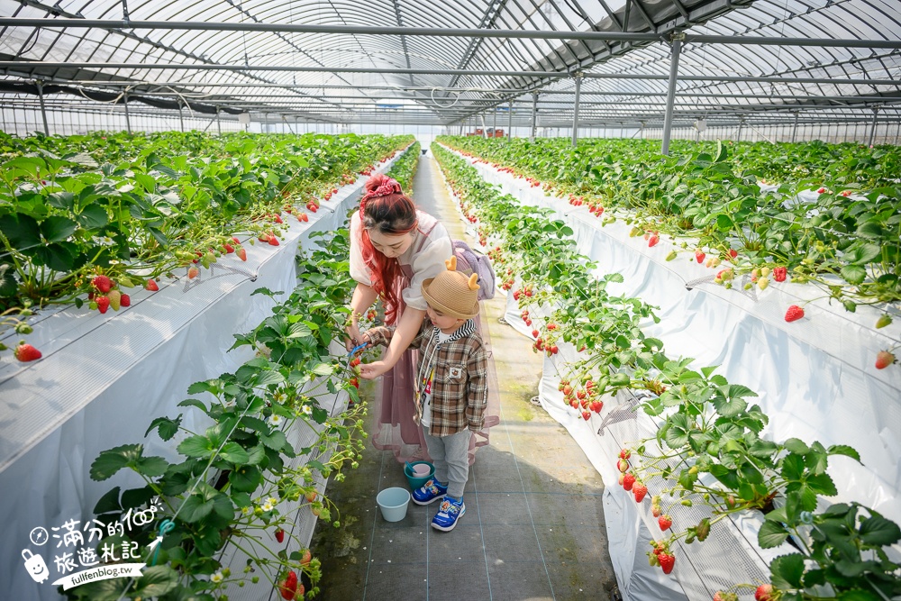 福岡草莓園【Fruitelier中村果樹園】久留米親子草莓園,50分鐘草莓吃到飽.能邊採邊吃,還有兒童遊戲區好溫馨!