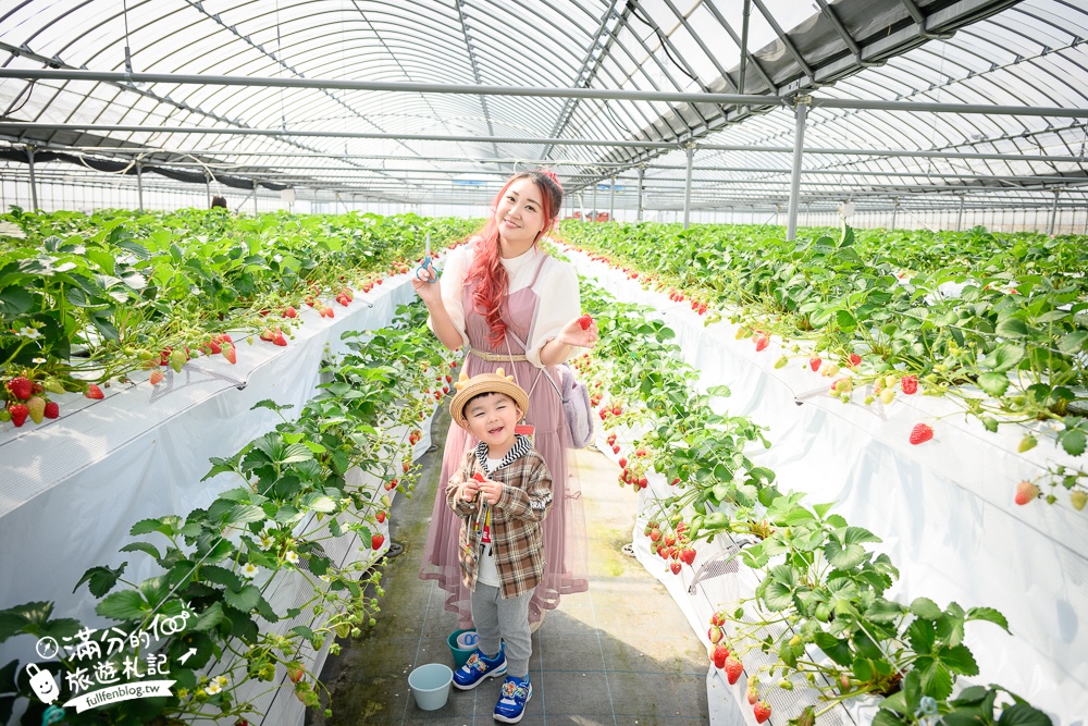 福岡草莓園【Fruitelier中村果樹園】久留米親子草莓園,50分鐘草莓吃到飽.能邊採邊吃,還有兒童遊戲區好溫馨!