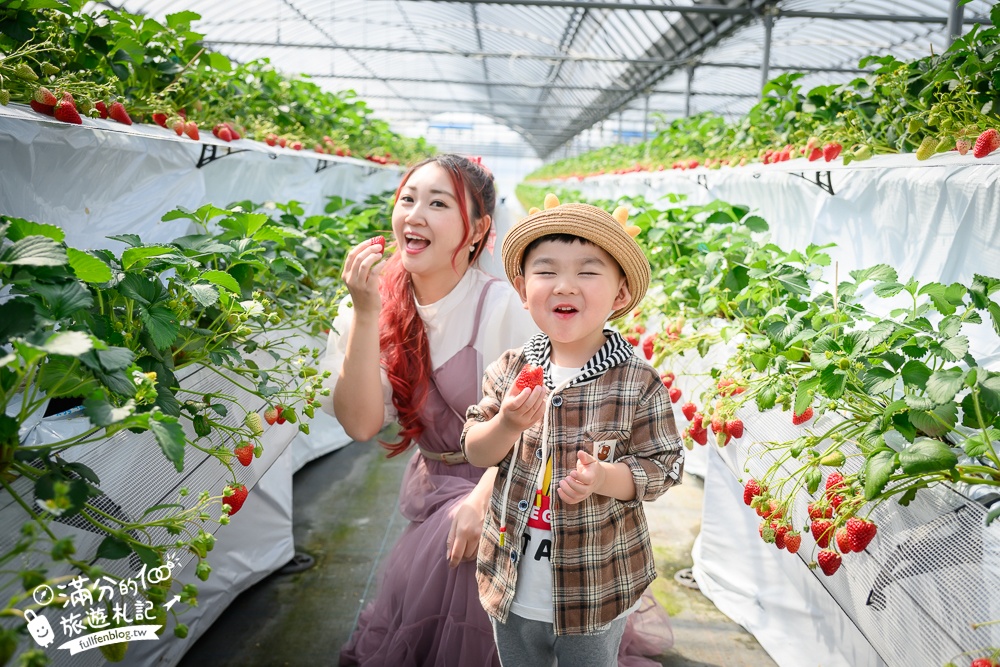 福岡草莓園【Fruitelier中村果樹園】久留米親子草莓園,50分鐘草莓吃到飽.能邊採邊吃,還有兒童遊戲區好溫馨!