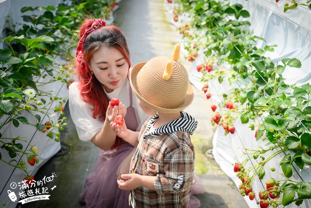 福岡草莓園【Fruitelier中村果樹園】久留米親子草莓園,50分鐘草莓吃到飽.能邊採邊吃,還有兒童遊戲區好溫馨!