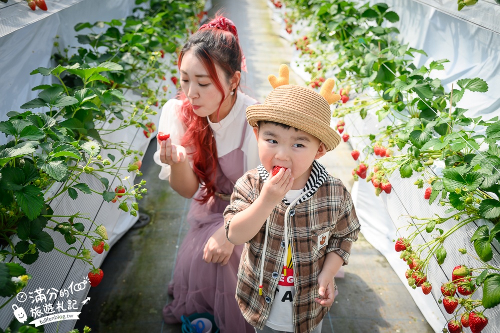 福岡草莓園【Fruitelier中村果樹園】久留米親子草莓園,50分鐘草莓吃到飽.能邊採邊吃,還有兒童遊戲區好溫馨!