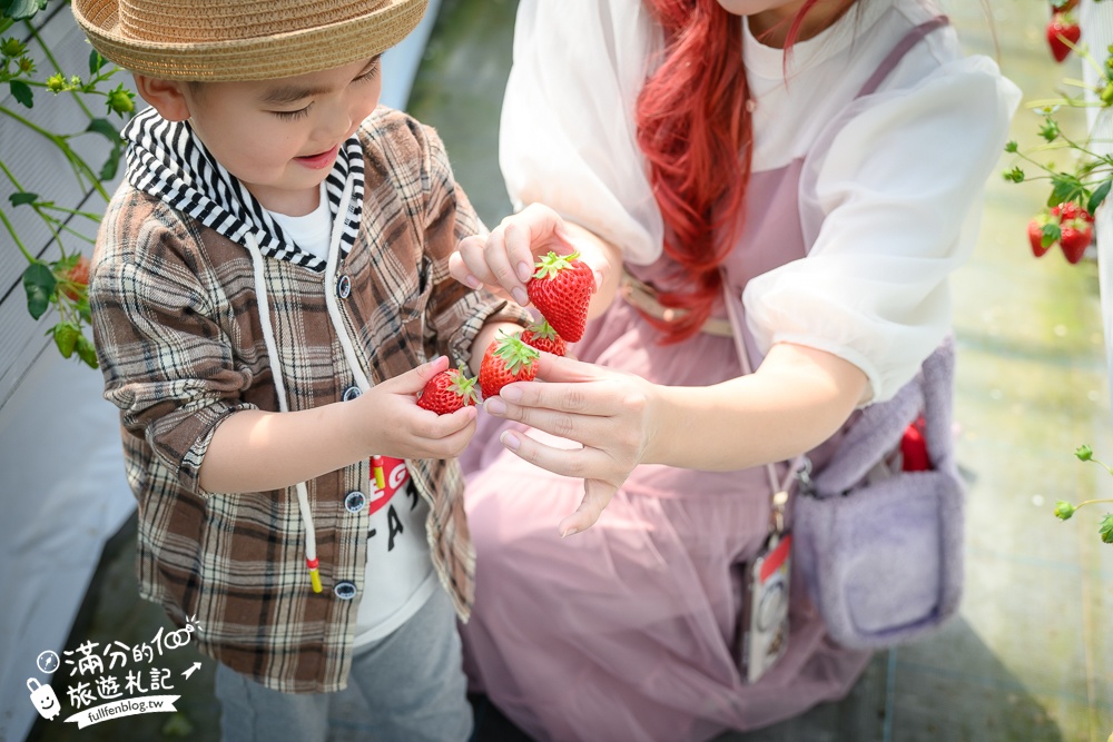 福岡草莓園【Fruitelier中村果樹園】久留米親子草莓園,50分鐘草莓吃到飽.能邊採邊吃,還有兒童遊戲區好溫馨!