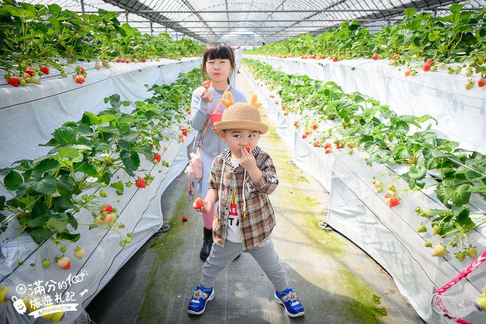 福岡草莓園【Fruitelier中村果樹園】久留米親子草莓園,50分鐘草莓吃到飽.能邊採邊吃,還有兒童遊戲區好溫馨!