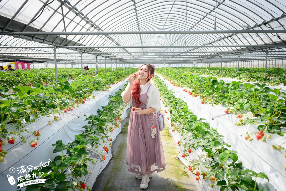 福岡草莓園【Fruitelier中村果樹園】久留米親子草莓園,50分鐘草莓吃到飽.能邊採邊吃,還有兒童遊戲區好溫馨!