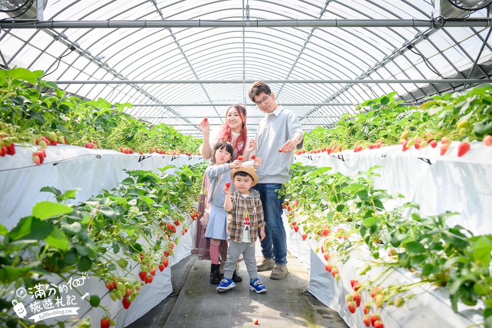 福岡草莓園【Fruitelier中村果樹園】久留米親子草莓園,50分鐘草莓吃到飽.能邊採邊吃,還有兒童遊戲區好溫馨!