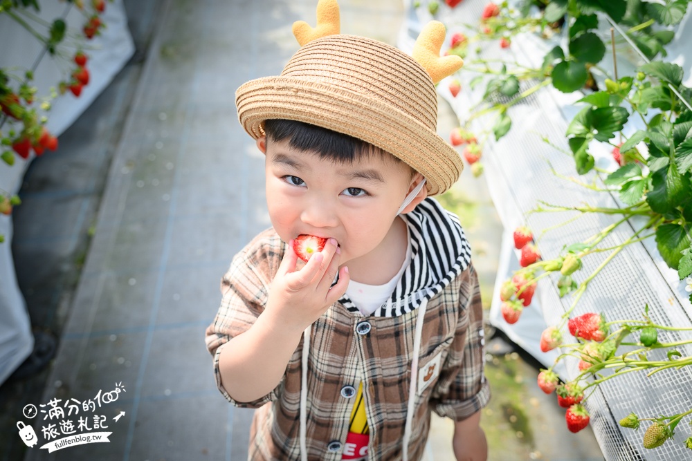 福岡草莓園【Fruitelier中村果樹園】久留米親子草莓園,50分鐘草莓吃到飽.能邊採邊吃,還有兒童遊戲區好溫馨!