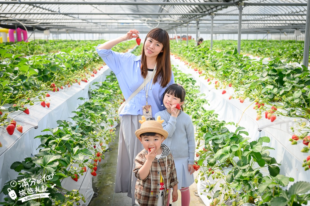 福岡草莓園【Fruitelier中村果樹園】久留米親子草莓園,50分鐘草莓吃到飽.能邊採邊吃,還有兒童遊戲區好溫馨!