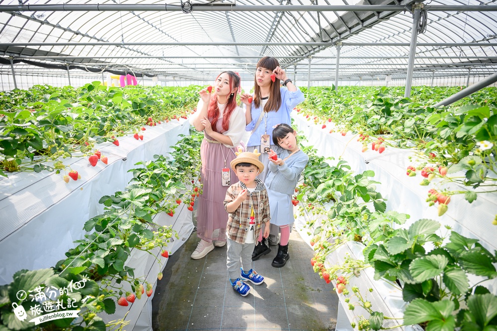福岡草莓園【Fruitelier中村果樹園】久留米親子草莓園,50分鐘草莓吃到飽.能邊採邊吃,還有兒童遊戲區好溫馨!
