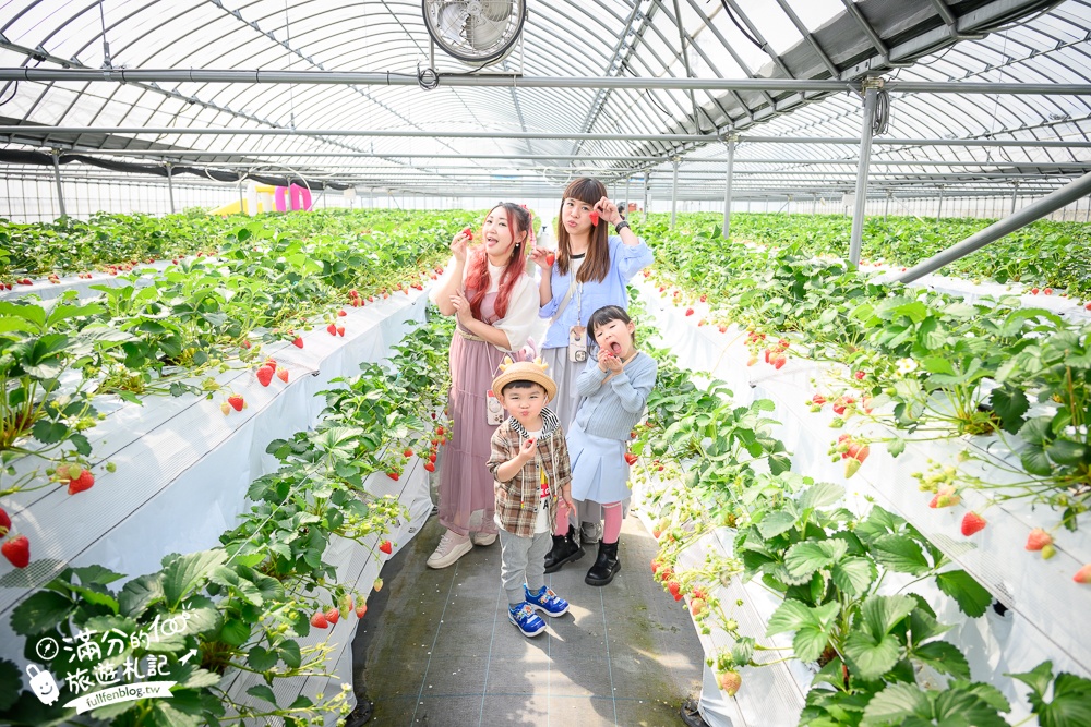 福岡草莓園【Fruitelier中村果樹園】久留米親子草莓園,50分鐘草莓吃到飽.能邊採邊吃,還有兒童遊戲區好溫馨!