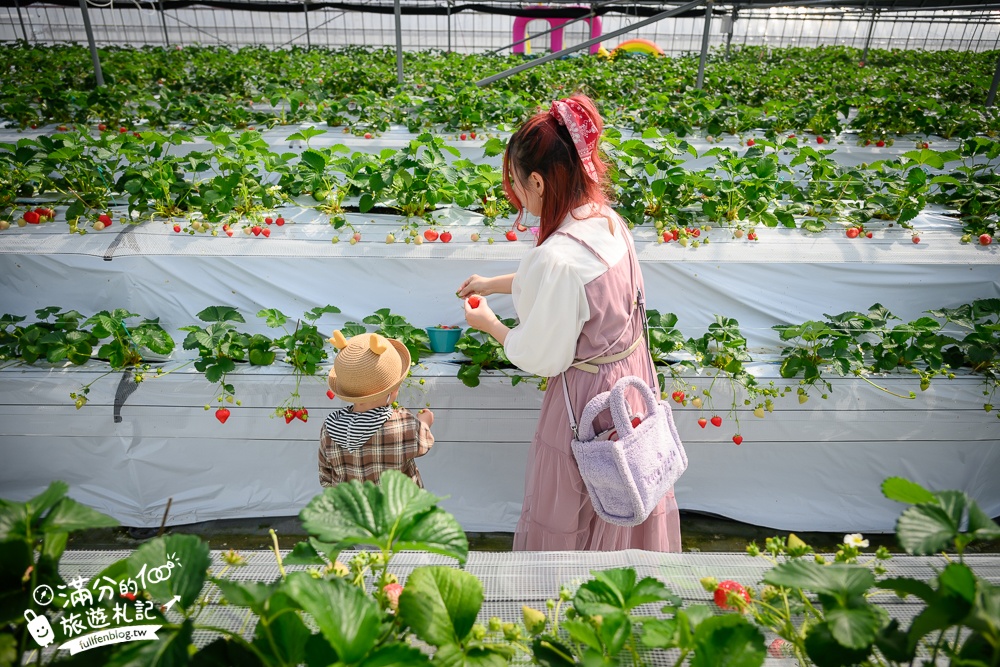 福岡草莓園【Fruitelier中村果樹園】久留米親子草莓園,50分鐘草莓吃到飽.能邊採邊吃,還有兒童遊戲區好溫馨!