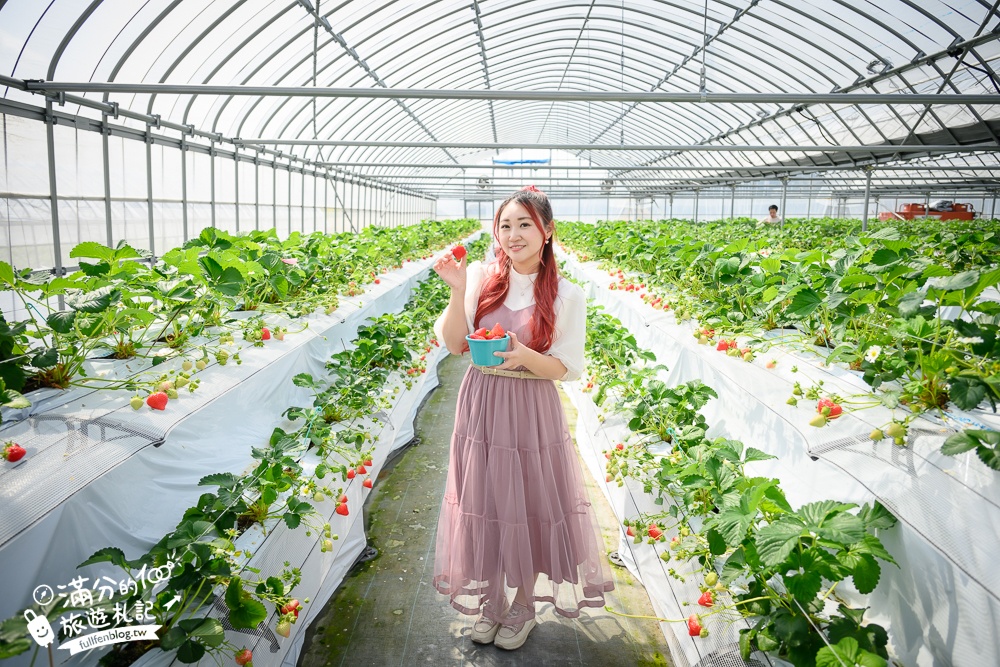 福岡草莓園【Fruitelier中村果樹園】久留米親子草莓園,50分鐘草莓吃到飽.能邊採邊吃,還有兒童遊戲區好溫馨!
