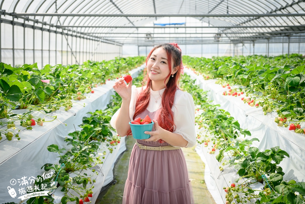 福岡草莓園【Fruitelier中村果樹園】久留米親子草莓園,50分鐘草莓吃到飽.能邊採邊吃,還有兒童遊戲區好溫馨!