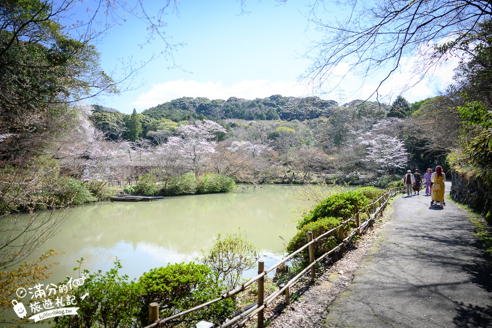 【2025福岡櫻花景點推薦】TOP6九州賞櫻景點攻略.舞鶴公園.大濠公園&太宰府櫻花盛開好迷人!