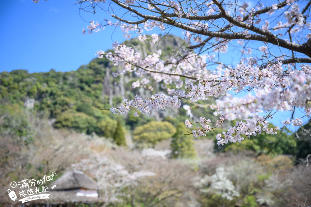 【2025福岡櫻花景點推薦】TOP6九州賞櫻景點攻略.舞鶴公園.大濠公園&太宰府櫻花盛開好迷人!
