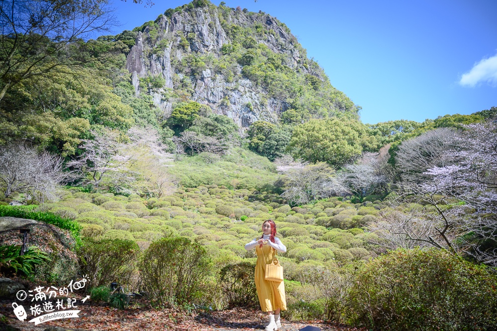 【2025福岡櫻花景點推薦】TOP6九州賞櫻景點攻略.舞鶴公園.大濠公園&太宰府櫻花盛開好迷人!