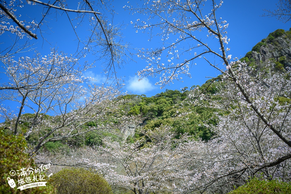 【2025福岡櫻花景點推薦】TOP6九州賞櫻景點攻略.舞鶴公園.大濠公園&太宰府櫻花盛開好迷人!