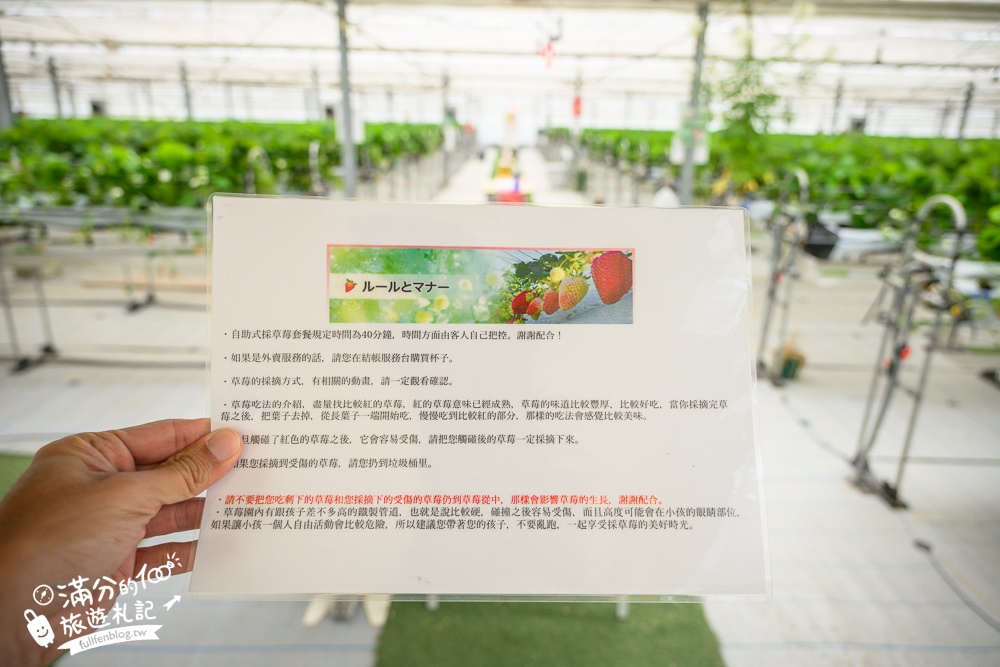 沖繩草莓園推薦【美麗草莓南城溫室】40分鐘沖繩草莓放題吃到飽,還能搭煉乳巧克力一起吃超特別!