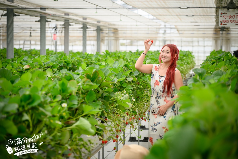 沖繩草莓園推薦【美麗草莓南城溫室】40分鐘沖繩草莓放題吃到飽,還能搭煉乳巧克力一起吃超特別!