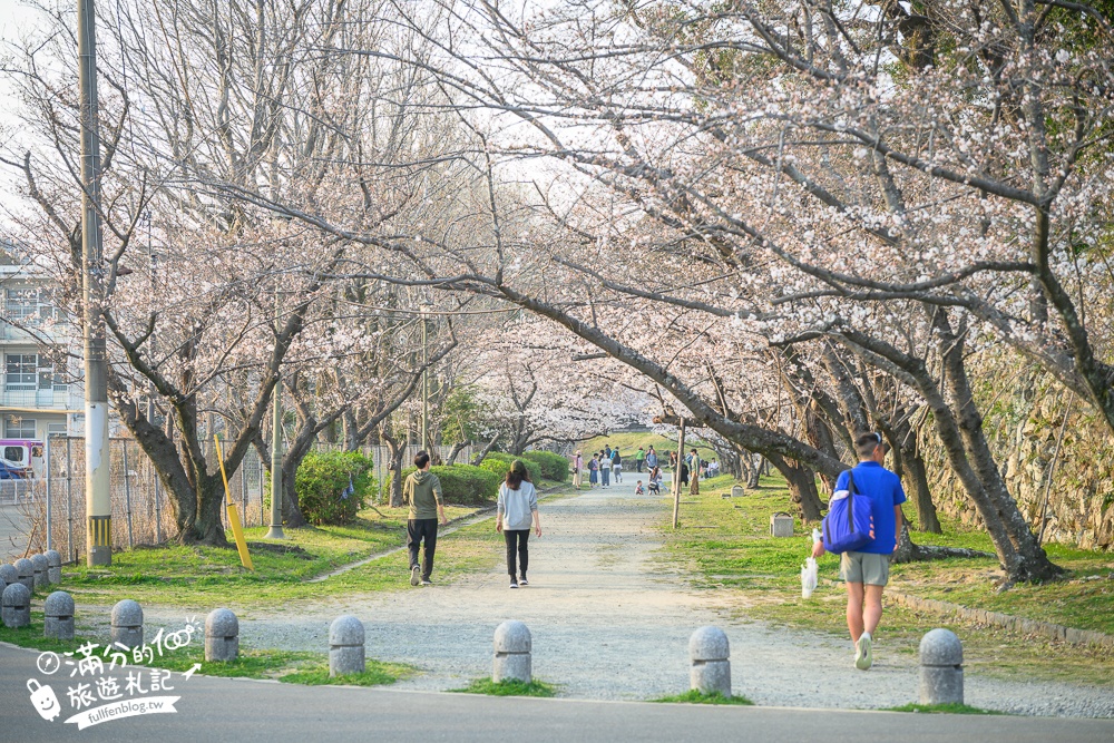 【2025福岡櫻花景點推薦】TOP6九州賞櫻景點攻略.舞鶴公園.大濠公園&太宰府櫻花盛開好迷人!